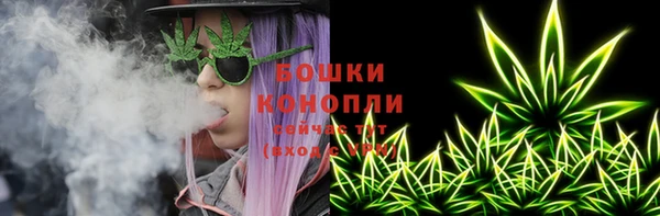 PSILOCYBIN Костерёво