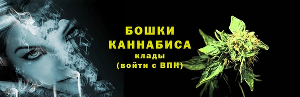 PSILOCYBIN Костерёво