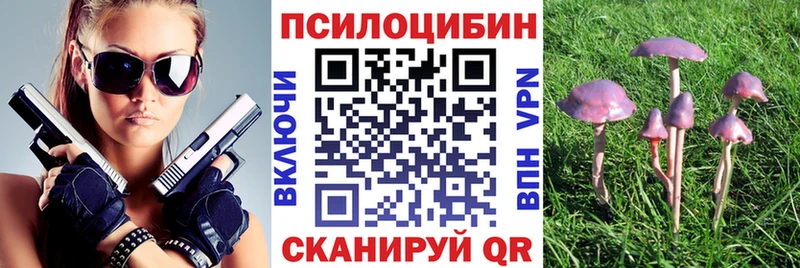 Галлюциногенные грибы прущие грибы  наркота  Дудинка 